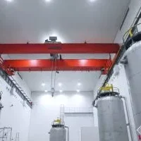 Взрывозащищённый мостовой кран для чистых помещений (4)