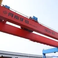 Мостовой кран нового типа с электрической талью и двумя грузовыми тележками (5)